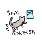 いろんなねこのスタンプ（個別スタンプ：28）