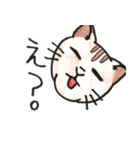 いろんなねこのスタンプ（個別スタンプ：33）