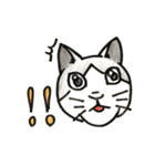 いろんなねこのスタンプ（個別スタンプ：34）