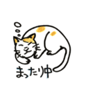 いろんなねこのスタンプ（個別スタンプ：36）