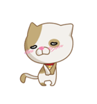 NekoNeko Happy Cat（個別スタンプ：12）