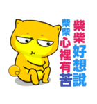 Shiba Inu bear - Straight straight talk（個別スタンプ：4）