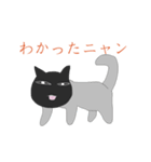 猫の太郎ちゃん（個別スタンプ：5）