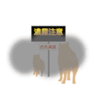 一緒に歩いて行こうよ 〜イヌの冒険物語〜（個別スタンプ：16）