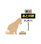 一緒に歩いて行こうよ 〜イヌの冒険物語〜（個別スタンプ：17）