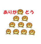 sei-kun siromaru-kun,penta-kun family（個別スタンプ：11）