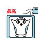 sei-kun siromaru-kun,penta-kun family（個別スタンプ：31）