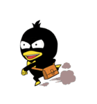 Black duck（個別スタンプ：17）