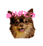 チョコタンチワワのユーリ（個別スタンプ：3）