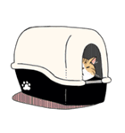 私の好きな猫しぐさ（個別スタンプ：10）