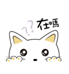 The girl and the cat（個別スタンプ：33）