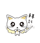 The girl and the cat（個別スタンプ：40）