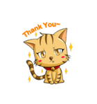 Tiger Cat ＆ White Dog（個別スタンプ：1）