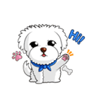Tiger Cat ＆ White Dog（個別スタンプ：16）