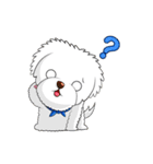 Tiger Cat ＆ White Dog（個別スタンプ：19）