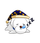 Tiger Cat ＆ White Dog（個別スタンプ：24）