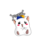 Tiger Cat ＆ White Dog（個別スタンプ：33）