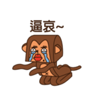 Crazy Crazy Monkey（個別スタンプ：24）