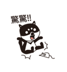 Crazy Crazy Monkey（個別スタンプ：40）
