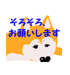 日本 柴犬（個別スタンプ：2）