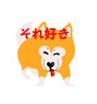日本 柴犬（個別スタンプ：9）