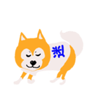 日本 柴犬（個別スタンプ：15）