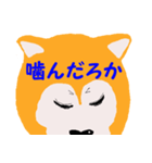日本 柴犬（個別スタンプ：16）
