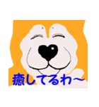 日本 柴犬（個別スタンプ：18）