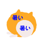 日本 柴犬（個別スタンプ：21）