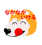日本 柴犬（個別スタンプ：25）