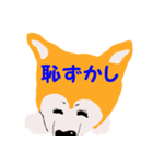日本 柴犬（個別スタンプ：27）