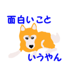 日本 柴犬（個別スタンプ：34）
