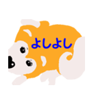 日本 柴犬（個別スタンプ：36）