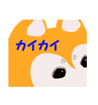 日本 柴犬（個別スタンプ：37）