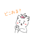 神戸弁を話す犬パイセン（個別スタンプ：20）
