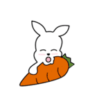 Rabbit Attic（個別スタンプ：1）
