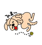 どったま家のわんこたち（個別スタンプ：36）