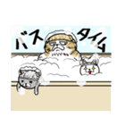 ねこ3兄弟（個別スタンプ：16）