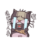 猫ボス幸せな時間（個別スタンプ：31）