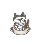 うちの猫「チビ」（個別スタンプ：6）