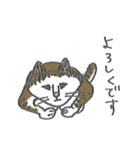 うちの猫「チビ」（個別スタンプ：8）