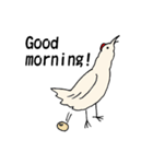 サモエド、にわとり、時々羊（個別スタンプ：1）