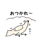 サモエド、にわとり、時々羊（個別スタンプ：13）