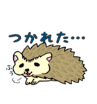 ゆるーいどうぶつスタンプ（個別スタンプ：28）