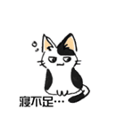 ボテ猫たくとくん（個別スタンプ：1）