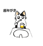 ボテ猫たくとくん（個別スタンプ：4）