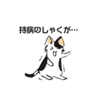 ボテ猫たくとくん（個別スタンプ：7）
