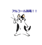 ボテ猫たくとくん（個別スタンプ：8）