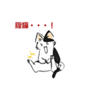 ボテ猫たくとくん（個別スタンプ：10）