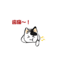 ボテ猫たくとくん（個別スタンプ：11）